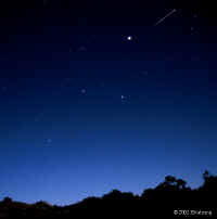 Leonid2002.592px.jpg (73597 bytes)