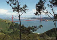 ggbridge.fromheadlands+trees.jpg (189562 bytes)