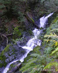 midfalls.psadj.KI8Q8930.jpg (188332 bytes)