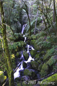 upperfalls-24mm.psadj.KI8Q8945.jpg (190393 bytes)