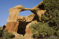 arch+juniper.devilsgarden.PSadj.KI8Q7162.jpg (191252 bytes)