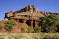 capitalreef-castle+cottonwoods.KI8Q7601.jpg (173128 bytes)