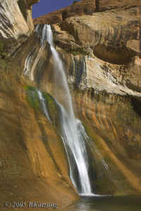 falls-full.KI8Q7246.jpg (128990 bytes)