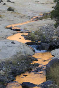 reflectioncreek.s-curve+falls.KI8Q7477.jpg (143423 bytes)