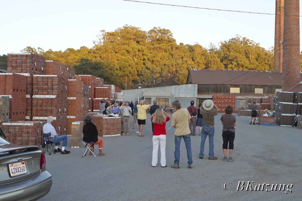 Birdwatchers assembled