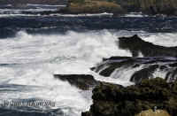 surf-on-rocks.mackerricher.130mm.psadj.CRW_1208.jpg (181329 bytes)
