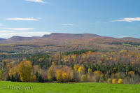 Vista from Wheelock Rd
