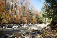 Stream in Texas Falls State Park