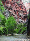 RiverOutOfTheNarrows.Zion.600px.5956.jpg (154555 bytes)
