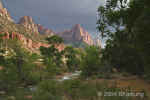 River+Trees+Cliffs.Parus.Zion.5803.jpg (129673 bytes)