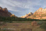ZionMeadow+bluesky.Zion.750px.5821.jpg (126845 bytes)