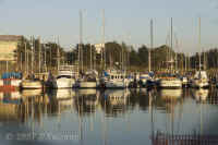 harbor-reflections.opt.KI8Q9243.jpg (143774 bytes)