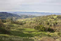 alex.vly.vista.pineflatrd.opt-skymultiply.KI8Q1086.jpg (181727 bytes)